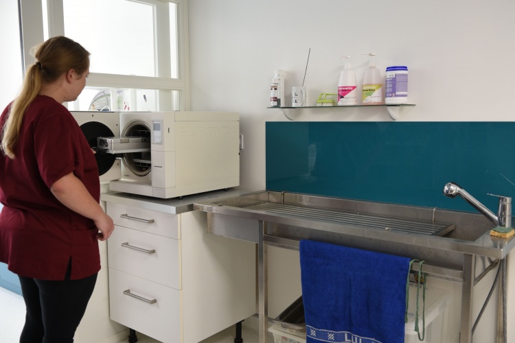 Nouvel animal de compagnie chez le vétérinaire